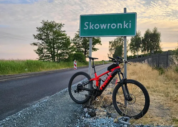 Domki Skowronki